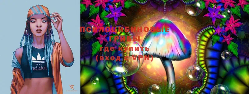 Галлюциногенные грибы Magic Shrooms  как найти закладки  Бодайбо 